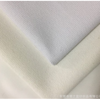 厂家直销供应全棉帆布布20安10S/4*4漂白 半漂白箱包鞋材面料现货