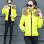 图荣短款棉衣女冬季韩版时尚大毛领棉服大码保暖棉袄外套一件代发