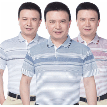 2017夏季新款短 中老年男士翻领商务男式体t恤衫批发地摊甩货短袖图1