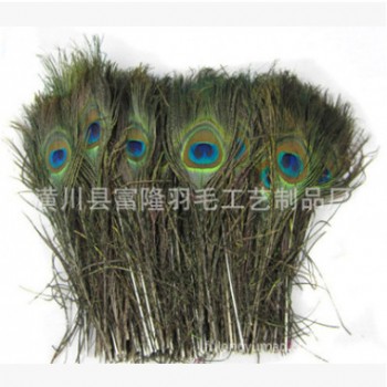 羽毛厂家供应孔雀羽毛25-30cm天然羽毛批发插花羽毛图1