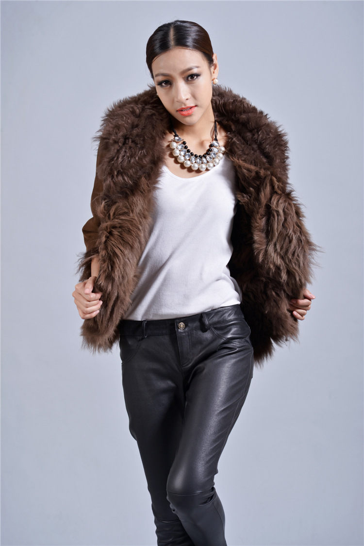 FIS_0587