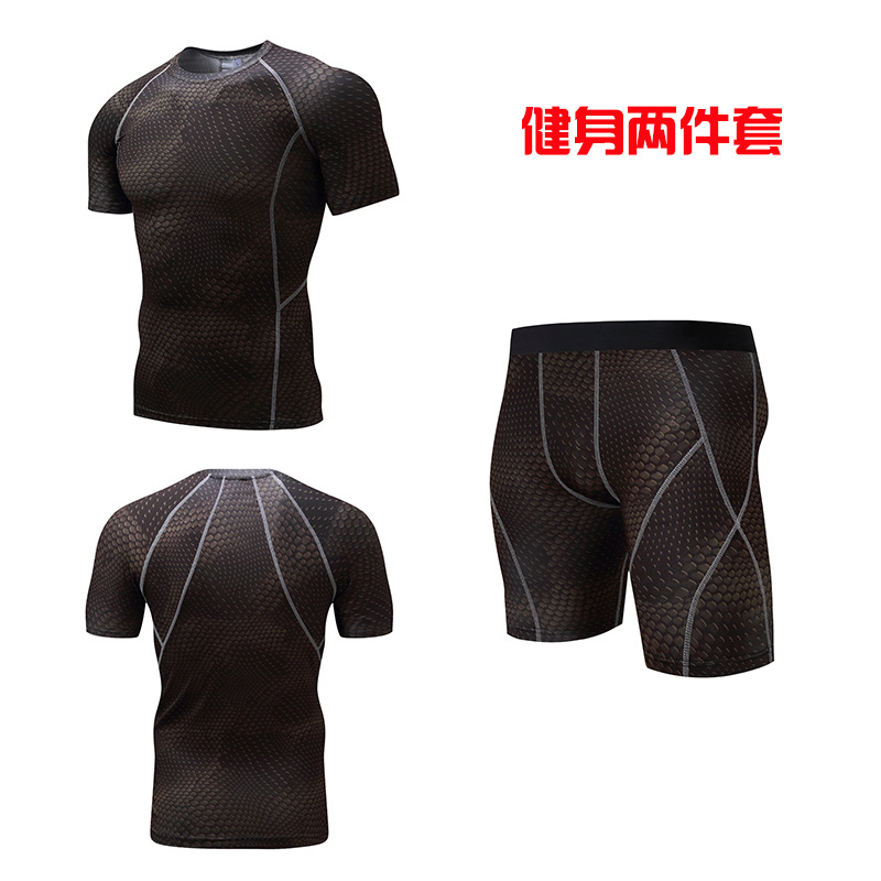 金龙纹