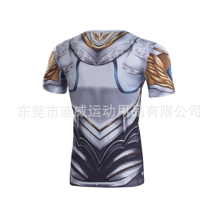 中欧铠甲 (2)