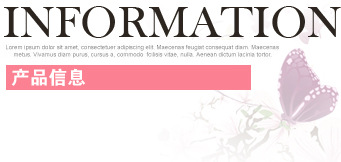 CompanyNameBg