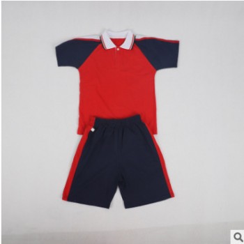 厂家直销时尚夏季运动短袖polo衫套装 学校运动套装 运动服定制