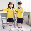 2019夏令营中大童班服小学生表演服纯棉两件套儿童套装初中生班服