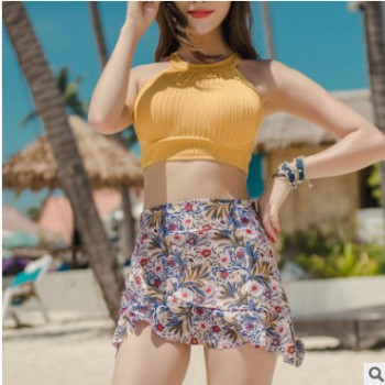 泳衣女分体裙式三件套遮肚显瘦保守钢托聚拢小胸游泳装女一件代发图1