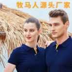 厂家直销2020春季新款纯棉翻领POLO衫短袖T恤跨境广告衫夏季工衣