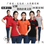 Polo衫定制t恤定制团体服翻领短袖DIY广告文化衫企业工作服印logo