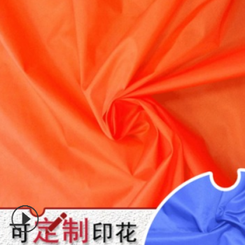 尼丝纺 现货厂家直销 尼龙羽绒服面料 户外服装尼丝纺图1