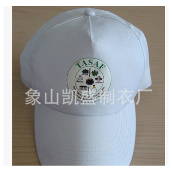 供应促销广告帽子 涤纶礼品帽子 促销活动帽子 选举帽子图1