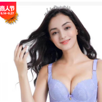 工厂直批 记忆软钢圈五排扣小胸 内衣女聚拢 收副乳调整型文胸