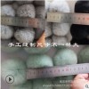 彩色獭兔毛球6cm/8cm毛毛球 毛绒球 挂件diy饰品配件服装鞋帽辅料
