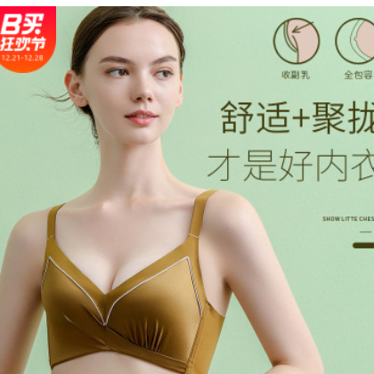 内衣女小胸聚拢无钢圈收副乳调整型胸罩上托中厚款防下垂无痕文胸图2