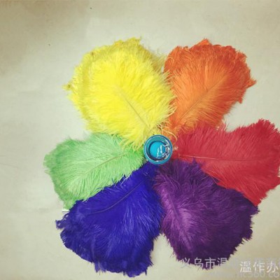 直销15-20天然**毛 服装辅料羽毛 羽毛制品
