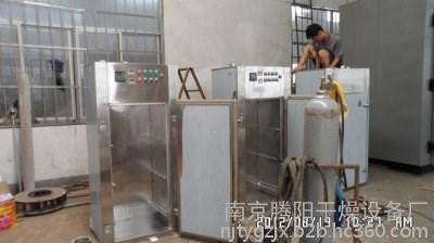 南京腾阳SDX-600L低温臭氧工作服灭菌柜