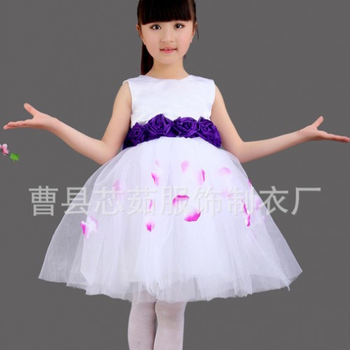 新款儿童舞台舞蹈裙女童表演裙演出服礼服蓬蓬公主连衣纱裙合唱服图2