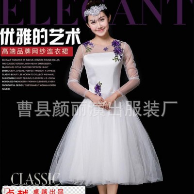 民族舞蹈舞台表演服成人大合唱演出服 伴舞长裙女款现代舞蹈服装