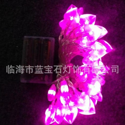 圣诞节日装饰LED纽扣电池盒灯串  纽扣电池灯图2