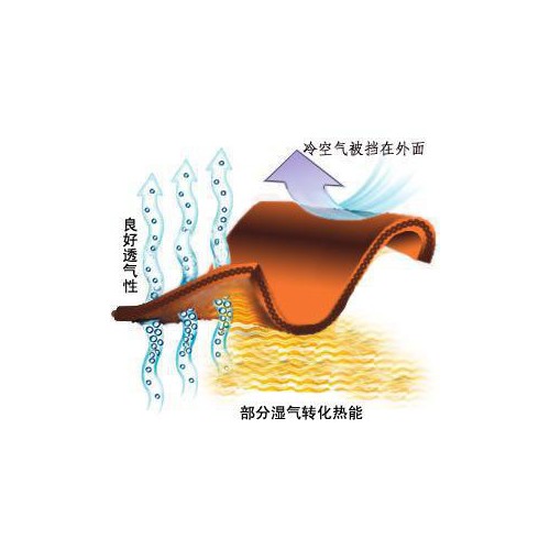 暧棉、吸湿发热、发热纱线、100纯棉纱线图2
