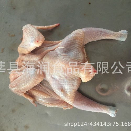 供应23只西装鸡图1