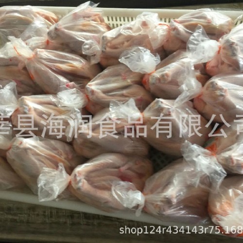 供应23只西装鸡图2