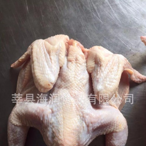 供应小西装鸡图1