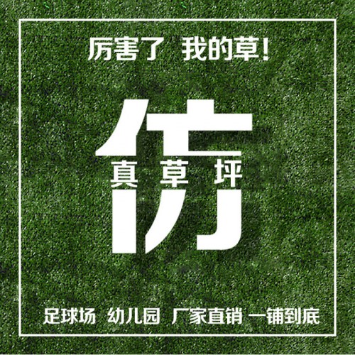 草坪陕西装饰草坪厂家图4