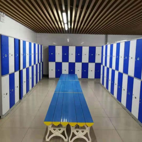 厂价直销６门更衣柜 储物柜铁皮衣柜钢制柜塑胶寄存柜游泳池批发定制图4