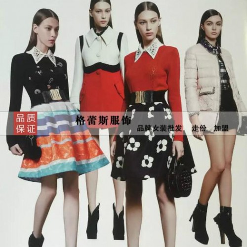 纳纹**2015秋冬款女装女式羽绒服图4