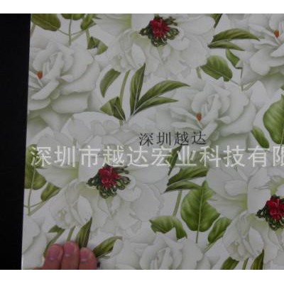 不锈钢衣柜印刷设备|铁皮衣柜门打印机型号|金属印花机多少钱