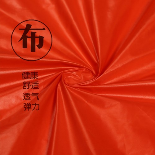 平纹尼丝纺20D 高密羽绒服无胆防绒面料尼丝纺风衣面料直销图1