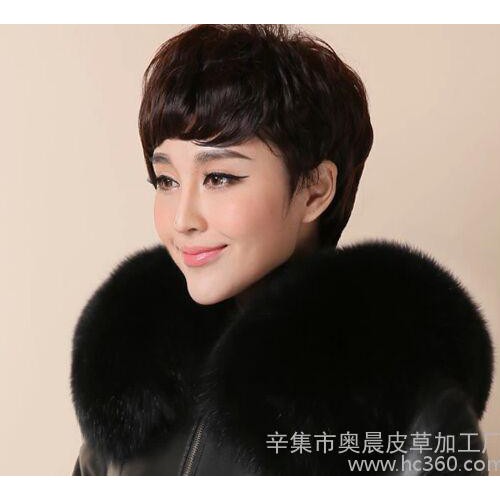 **毛领批发 皮衣毛领  服装毛领 辛集奥晨皮草