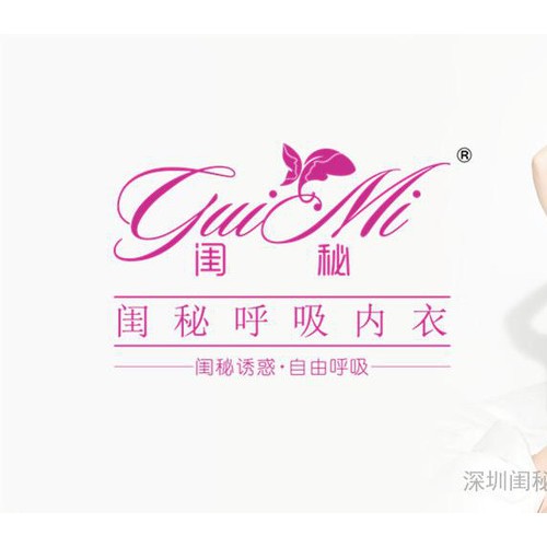 闺秘内衣保暖内衣女式内衣美体内衣内衣店内衣批发图2