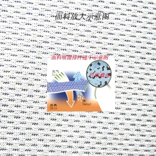 现货供应吸湿排汗鸟眼款网眼针织布，T恤涤纶面料布，小蜂巢鸟眼双面布，运动服装针织面料，吸湿排汗透气干爽柔软涤纶布图2