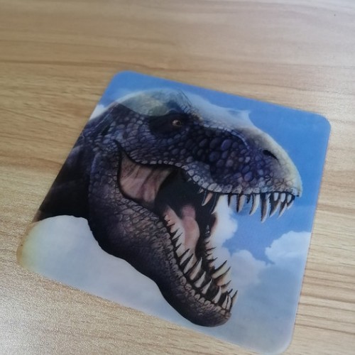 T恤杉TPU光栅片烫印 TPU软胶3D光栅片 衣服变画光栅片 3DTPU光栅变幻图图8