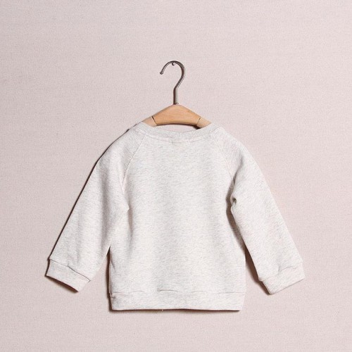 2014秋冬新品 儿童纯棉加厚眼镜长袖卫衣 宝宝套头打底衣服图2