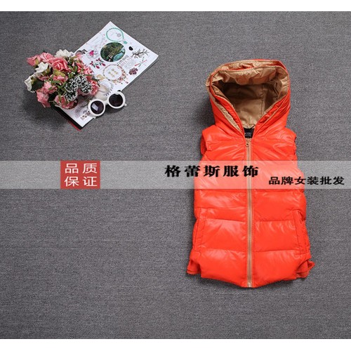 厂家供应品牌女装批发雨腾、帛珂、永菲儿羽绒马甲背心、棉马甲图6