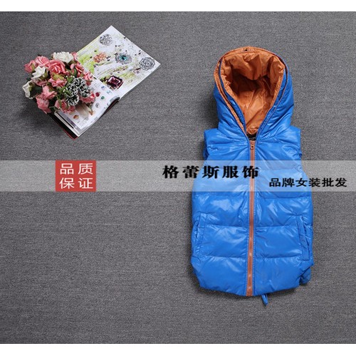 厂家供应品牌女装批发雨腾、帛珂、永菲儿羽绒马甲背心、棉马甲图5