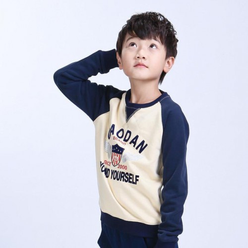 乔丹 男童装套头衫卫衣大童小童服装 QWD4542402 代图1
