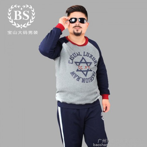 男式休闲套装 秋季新款 加肥加大纯棉休闲男士卫衣套装 大码男式套装批发图3