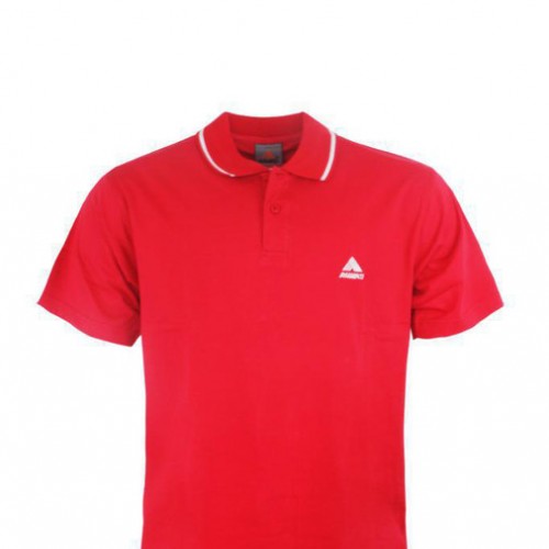 2013  polo衫 男 短袖 男式POLO 翻领保罗衫 夏装短袖图1
