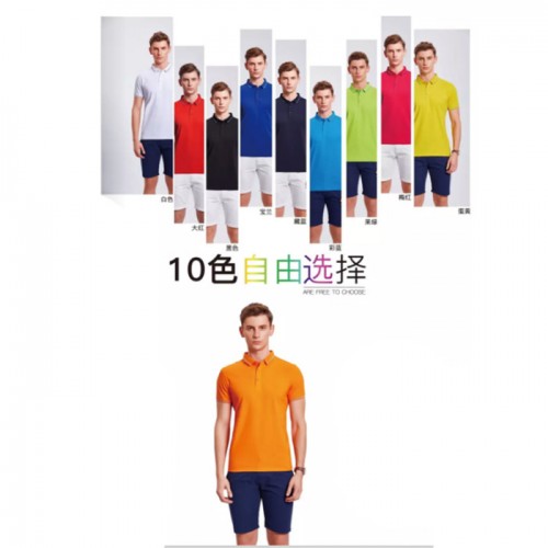 创新服装 polo衫 2758欧根棉纯色款 10色可选 天津**图4