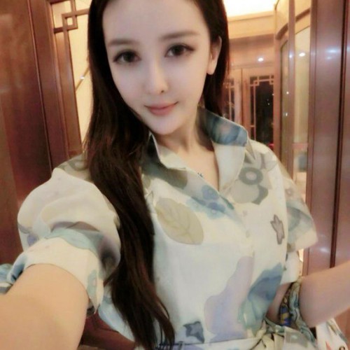 2015夏装新款韩版中袖连衣裙夏季衬衫雪纺裙子显瘦女装图3