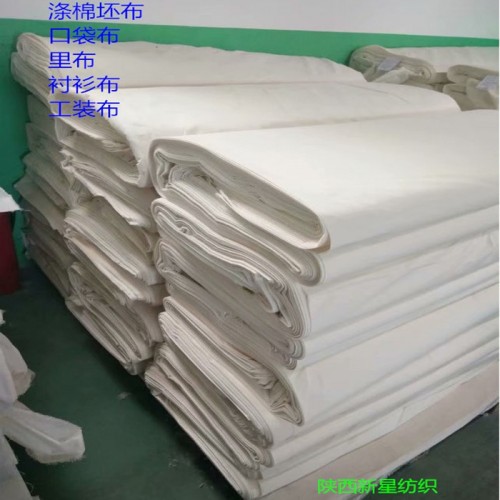 CVC60/40棉涤坯布 130*70160cm棉涤衬衫服装用布白布坯布图2
