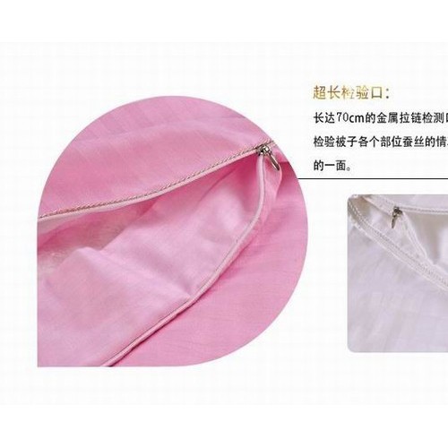 供应手工蚕丝被 全棉缎条被套 诚招代理 净蚕丝1斤 夏凉被 蚕丝被保养  家纺 礼品图6