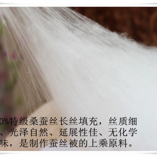 供应真丝被 桐乡手工桑蚕丝被 丝绸面料 真丝面料 桑蚕丝图7