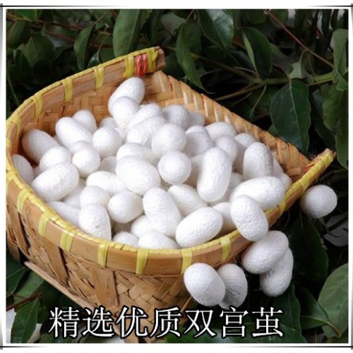 供应真丝被 桐乡手工桑蚕丝被 丝绸面料 真丝面料 桑蚕丝图6