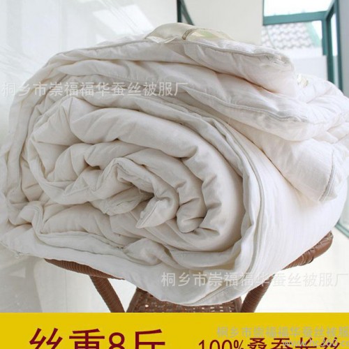 桐乡蚕丝被厂家 批发直销 纯手工100%桑蚕丝冬暖被 净8斤蚕丝被子图3