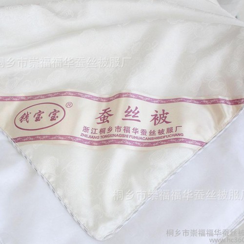 桐乡蚕丝被厂家批发 100桑蚕丝夏凉被空调被 子母被定做 春秋被芯图3